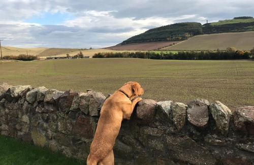 Cupar Casa | East Cottage Parbroath Farm near Cupar in Fife