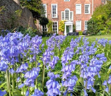 Chichester Cama Y Desayuno | East Pallant Bed and Breakfast, Located in Large Georgian Townhouse in Central Chichester