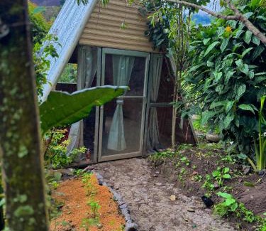 Cerro Punta Otro | Eco Amigo el Rincón