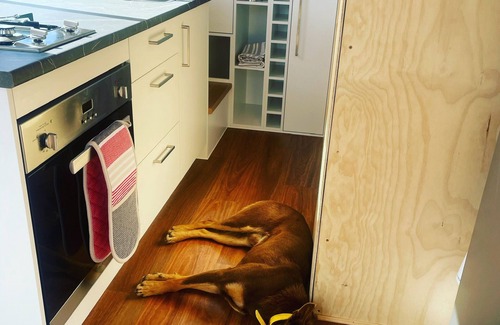 Portland Cabina | Eco-friendly Farmstay Sugarloaf