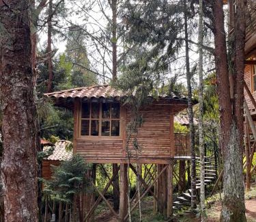 Medellin Otro | Eco Hotel Nigüíto