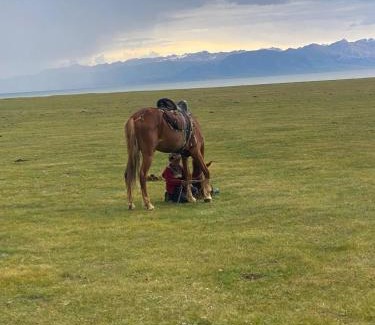 Naryn Region Cabina | eco house "QUMUSH YURT"