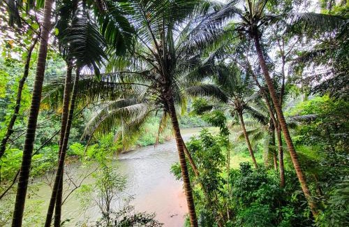 Kithulgala Complejo | Eco Lodges by Ceylon Adventures