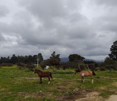 Zapallar Casa | Eco Parcela La Chacra