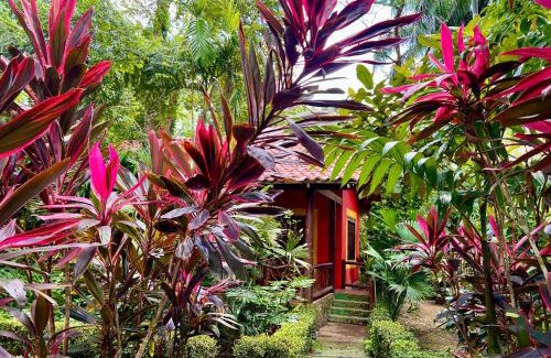 Portalón Cama Y Desayuno | Eco Zaru, Experience Authentic Costa Rican Jungle & Ocean Bliss
