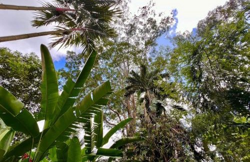 Portalón Cama Y Desayuno | Eco Zaru, Experience Authentic Costa Rican Jungle & Ocean Bliss