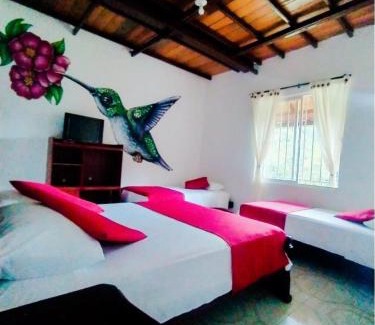 Salento Hotel | EcoHotel Colibrí Salento