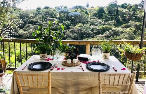 Rionegro Apartamento | ecohotel zona 7