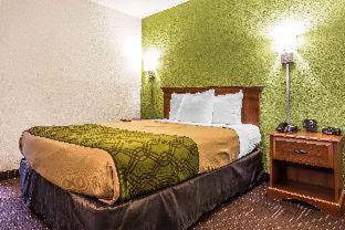 Elizabeth City Cabina | Econo Lodge Elizabeth City near University