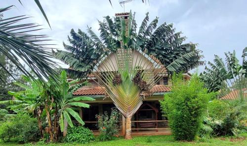 Langata Casa | Edaala Comfort - B&B