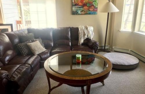 Edwards Casa | Edwards Mountain Chic On River Pool and Hot Tubs