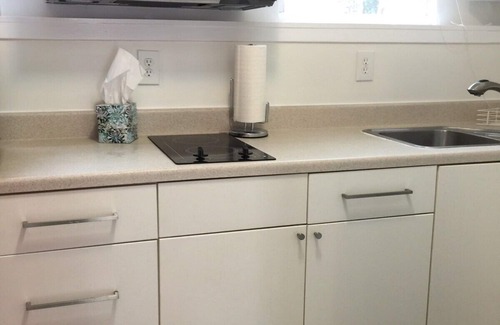 Reston Casa | Efficiency Private BSMNT APT- DC 20m IAD-10m Metro