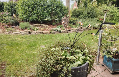 Wolthusen Apartamento | Eiklenborg - Holiday apartment Moi Tied - Holiday apartment Moi Tied