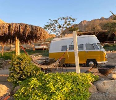 Ein Gedi Otro | Ein Gedi Camp Lodge