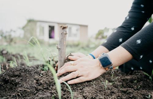 Ichhawar Casa | Ekatwam - A place to unite with nature