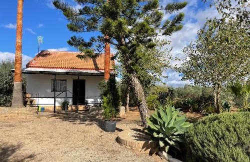 Bollullos de la Mitación Casa | El Paraíso del Olivar