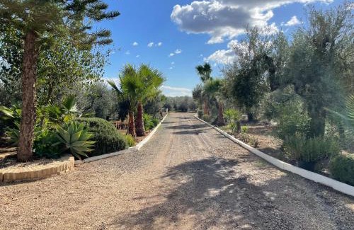 Bollullos de la Mitación Casa | El Paraíso del Olivar