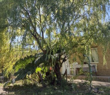 Villa Llanquín Casa | El Quillango