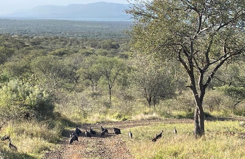 Pongola Apartamento | Elephant Kraal - Avery House