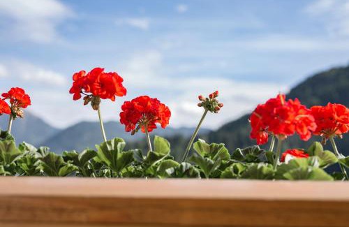 Serfaus Casa | Elisabeth Serfaus inkl der SUPER SOMMER CARD im SOMMER 2026
