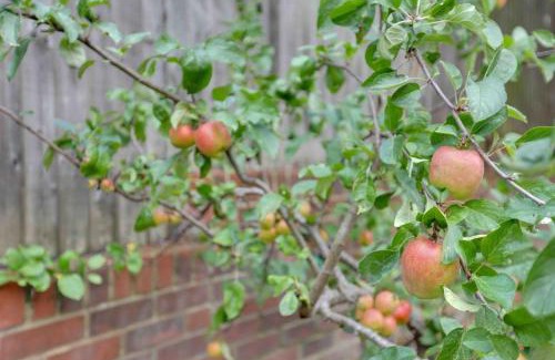 Braintree Casa | Elizabeth Four Bedroom Townhouse