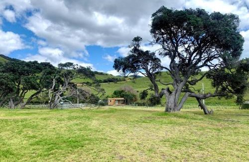Rawhiti Casa | Elliot Bay - Shearer's Cabin