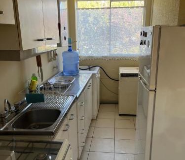 Vicuna Apartamento | Elqui Antu