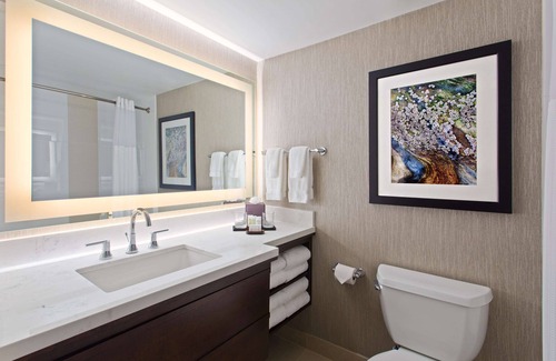 Florida Central Atlantic Coast Hotel | Embassy Suites by Hilton Orlando International Dr Conv Ctr