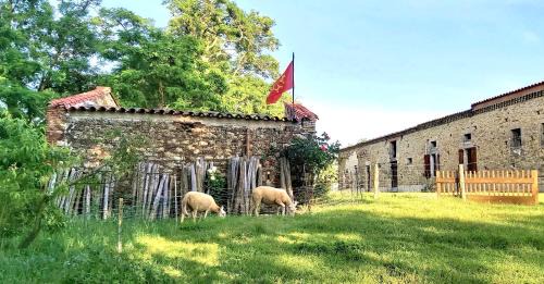 Calmont Casa | En Pascot - gîte 190 m2 - 3 chambres - 6 pers - 3 épis et 3 étoiles - à 10 mn de Villefranche et Nailloux