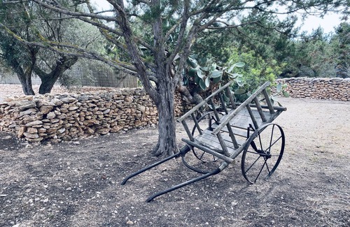 Cala Saona Casa | Encanto y Hadas
