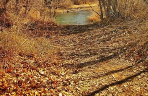 Camp Verde Casa | Enjoy a Hassle Free and Suiting Stay! Pets Allowed, Near Grand Canyon Tours!