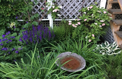 Bass Harbor Cabaña | ¡Disfruta de la belleza del Parque Nacional Acadia!