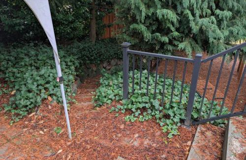 Seattle Metro Area Casa | Entire ADU with hottub