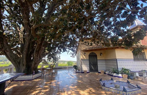 Alzira Cabaña | Entire Country House with Pool, Scenic Views & Orange Grove
