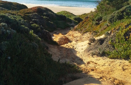 Meco Casa | Entre plage et pineède forest