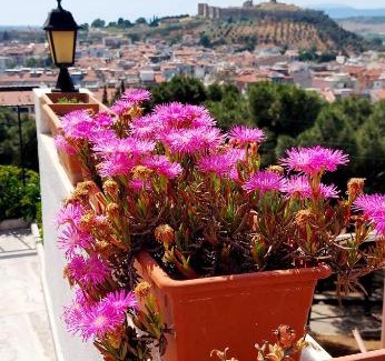 Selcuk Casa | Ephesus Hillside