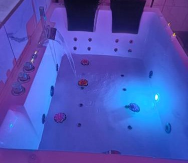 Montargis Apartamento | Escale secrète Montargis Jacuzzi Terrasse Parking gratuit