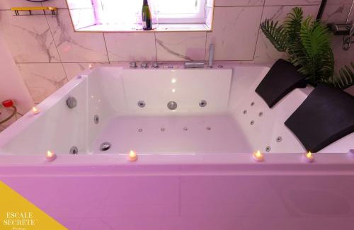 Montargis Apartamento | Escale secrète Montargis Jacuzzi Terrasse Parking gratuit