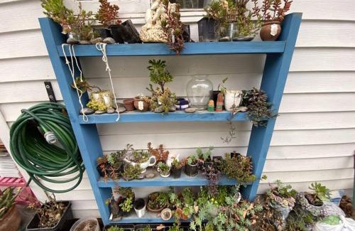 Colina Casa | Escape al bosque! - Casa Vintage