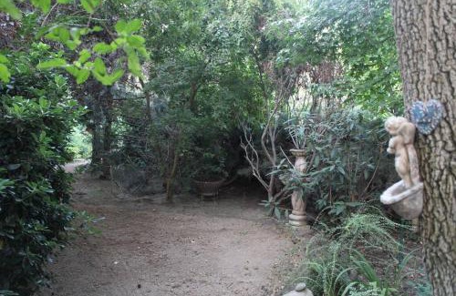 Colina Casa | Escape al bosque! - Casa Vintage