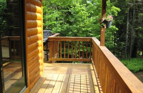 Old Forge Cabina | Escape & Enjoy a Cozy 3-bedroom cabin in wonderful Old Forge / Winter Season Ava