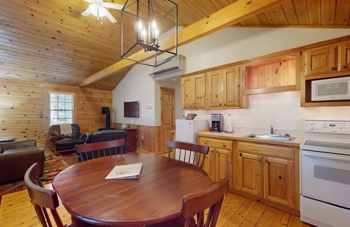 Northport Cabina | Escape to a dog-friendly cabin w/streaming, kitchen, fireplace & nature nearby