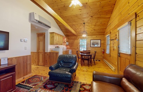 Northport Cabina | Escape to a dog-friendly cabin w/streaming, kitchen, fireplace & nature nearby