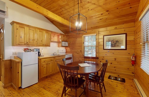 Northport Cabina | Escape to a dog-friendly cabin w/streaming, kitchen, fireplace & nature nearby