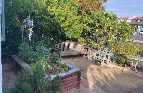 San Clemente Cabaña | Escape to our enchanting Beach Cottage Oasis with its own private pool and spa.