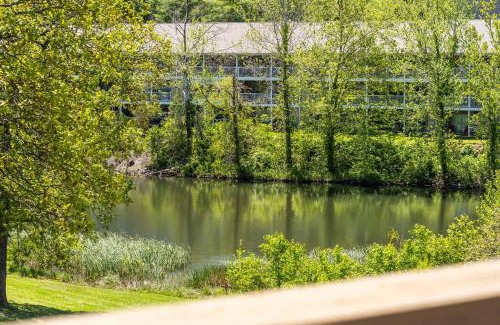 Table Rock Casa | Escape to the Pond View Oasis - Resort Amenities