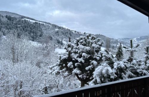 La Bresse Cama Y Desayuno | Escargot de Neige