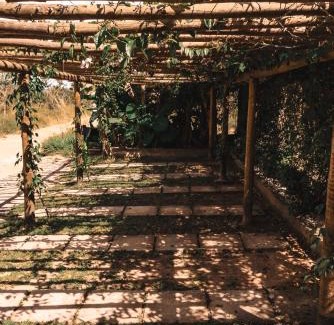 Alto Paraiso de Goias Chalet De Esquí | Espaço Canela-de-Ema