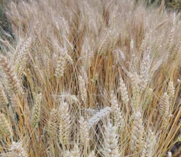 Cazac Casa | Espace et liberté