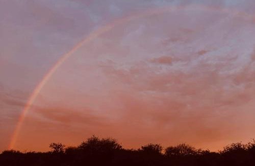 Luan Toro Apartamento | Estancia San Carlos